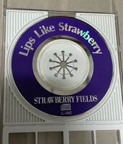 VINYL LPレコード　　　黒夢　strawberry fields VINYL LPレコード 黒夢 strawberry fields