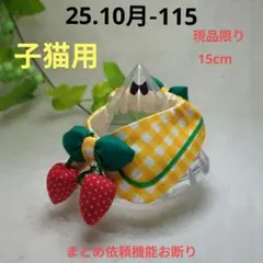 Item thumbnail for item 6df01b14-7bd2-4214-9f72-3cff1e34cc38