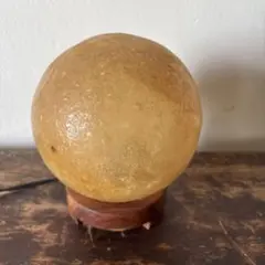 パキスタン　キャメルランプ　小