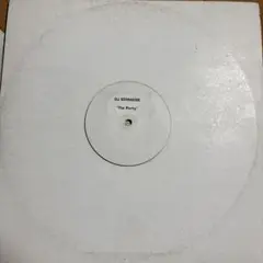 レア盤　DJ SCHWEDE The Party ブラックレコード