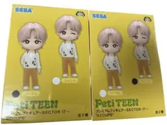 SEVENTEEN Peti TEEN プレミアムフィギュア エスクプス セブチ