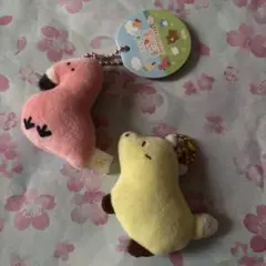 ★つぶらな瞳セット★
