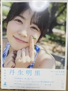 丹生明里 ファースト写真集 やさしい関係