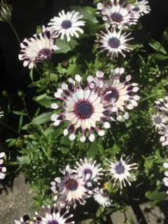 確認