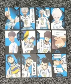 ハイキュー　ボードゲーム　援　12枚　鴎台