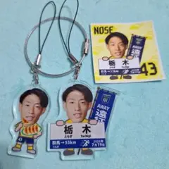 ザスパ群馬 #43 野瀬翔也 アウェイ限定キーホルダー&ステッカー 栃木