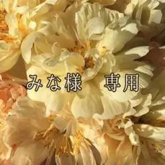 みな様　専用