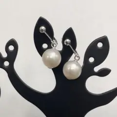 美品 本真珠 あこや真珠 パール イヤリング シルバー刻印 径約8.6mm