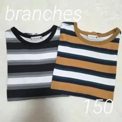ブランシェス　ボーダー半袖Tシャツ　150　2枚セット