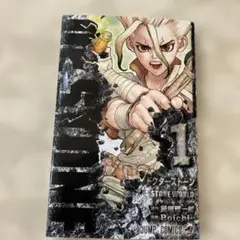 Dr.STONE 1巻　Boichi 稲垣理一郎