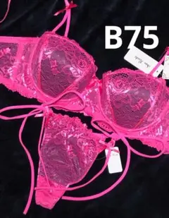 B75 フロレゾンローズレース脇高ブラジャー&サイド紐バック透けTバックショーツ