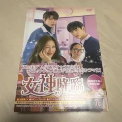女神降臨 DVD-BOX 1