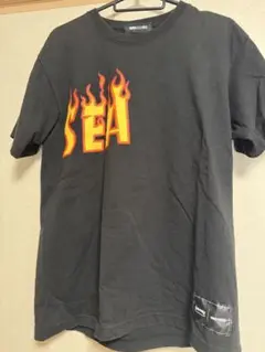 THRASHER ウインダンシーコラボ　フレイムT
