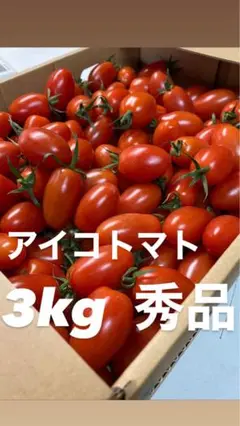 本日夕方まで特別価格 アイコ3kg秀品
