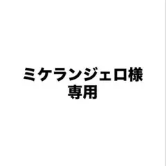 専用出品