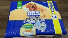 Item thumbnail for item 4696766e-858c-480a-bc7f-829d47a27dc0