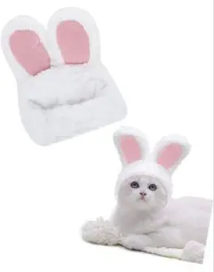 Item thumbnail for item 6e7d12cb-2c1f-4f8f-a3bc-e1e37baef3fe