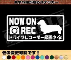Item thumbnail for item 7e8246ac-4cf9-48d9-b297-96f401188629