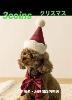 Item thumbnail for item df7a8337-746c-48ab-bb54-5d81e8146886