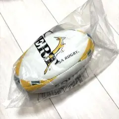 南アフリカ Springboks ラグビーボール
