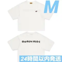 Item thumbnail for item b3916f37-a7d4-44b4-97a4-36993a098814