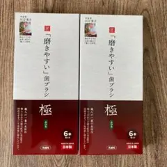 磨きやすい 歯ブラシ 極 きわみ 6本組×2個セット ふつう 先細毛 LT-53