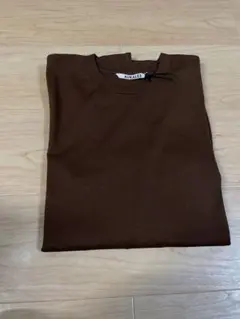 AURALEE LUSTER PLAITING LONG SLEEVE TEE
