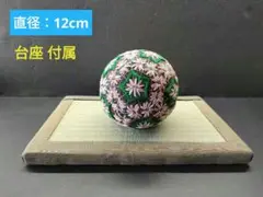手毬 菊の花模様 八角形 星 縁起物 い草 畳台座 置物 和風