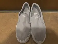 Item thumbnail for item 07319350-1b02-4013-bced-ddc457c67558