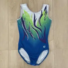 GK レオタード 青緑紫