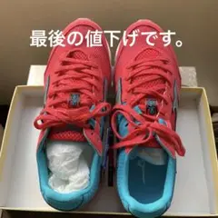 新品 Mizuno WAVE RIDER 23 ピンク/ターコイズ 24.5cm