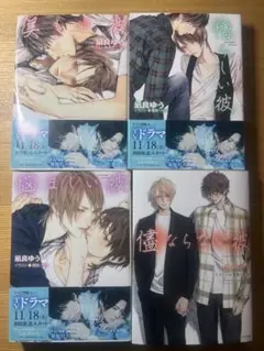 美しい彼シリーズ 小説4冊セット
