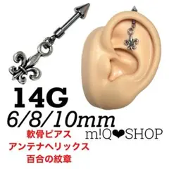 Item thumbnail for item a1541a85-1128-4039-b9cf-9707a01d13eb