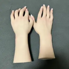 ハンドモデル