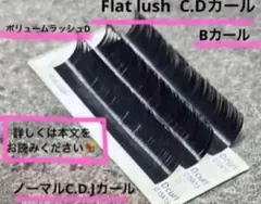 Item thumbnail for item 763ff207-cf73-4bdf-b761-9277cf21ad12