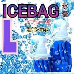 Item thumbnail for item 414085a8-59ea-46d2-81a6-f018531b3a0d