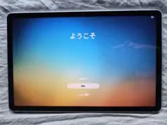 Galaxy Tab S10 FE 128GB 数時間のみ利用