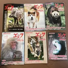 エノク 宇野正美著 6冊セット