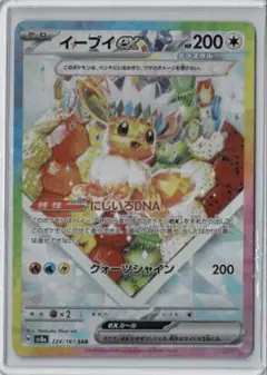 ポケモンカード テラスタルフェスex sv8a イーブイex SAR