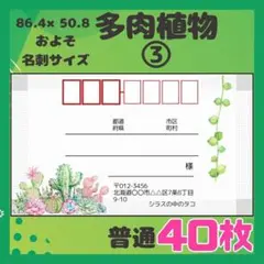 【多肉植物③】宛名シール　差出人シール　普通サイズ　40枚　サボテン　植物