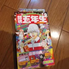 Item thumbnail for item ff203e9a-f919-4fcb-982c-7ad16bdda9a0