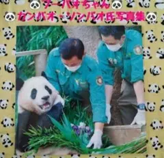 【レア品！新品・未使用品】パンダ・福宝(フーバオ)＆カンバオ・ソンバオ氏 写真集