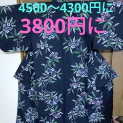 Item thumbnail for item 524c2f20-2273-4145-8aa2-39370c54fdc5