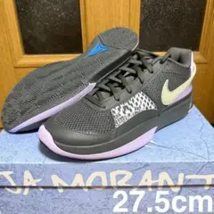 Item thumbnail for item cfe35a12-4f52-4e06-aa1f-46965fc0842e