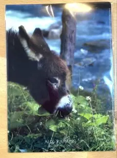 Item thumbnail for item 55190165-ed04-4187-82ae-2cef537eb58c