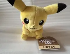 Pokémon fit ピカチュウ　タグ付き