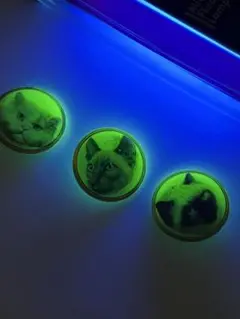 Item thumbnail for item 06d04715-7964-4015-9629-b2df45b7bbfd