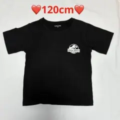 ジュラシック・ワールド Tシャツ 黒　120cm