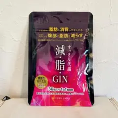 減・脂・GIN