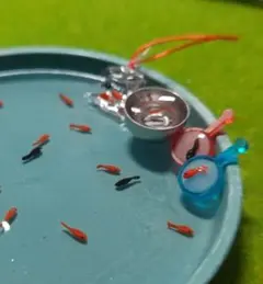 特別　金魚すくいセット